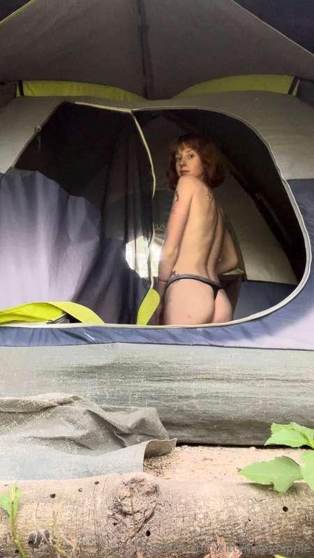 kittynippyhippie image #0