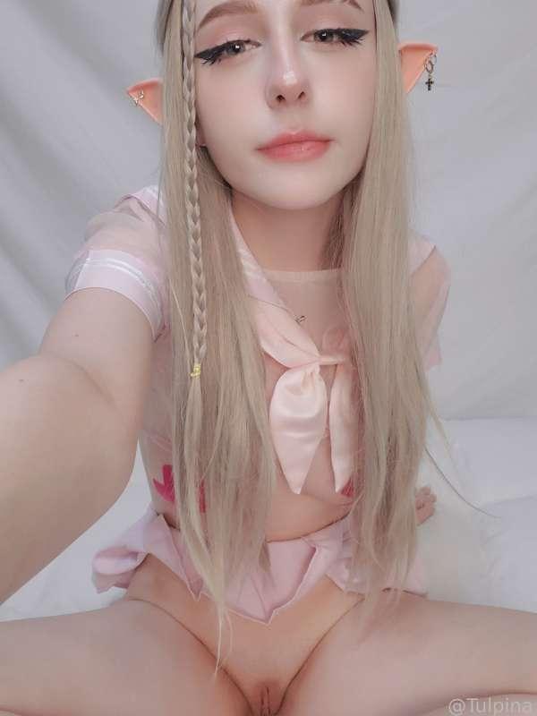 tulpina image #2