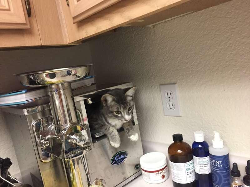 He gets into everything! Lol