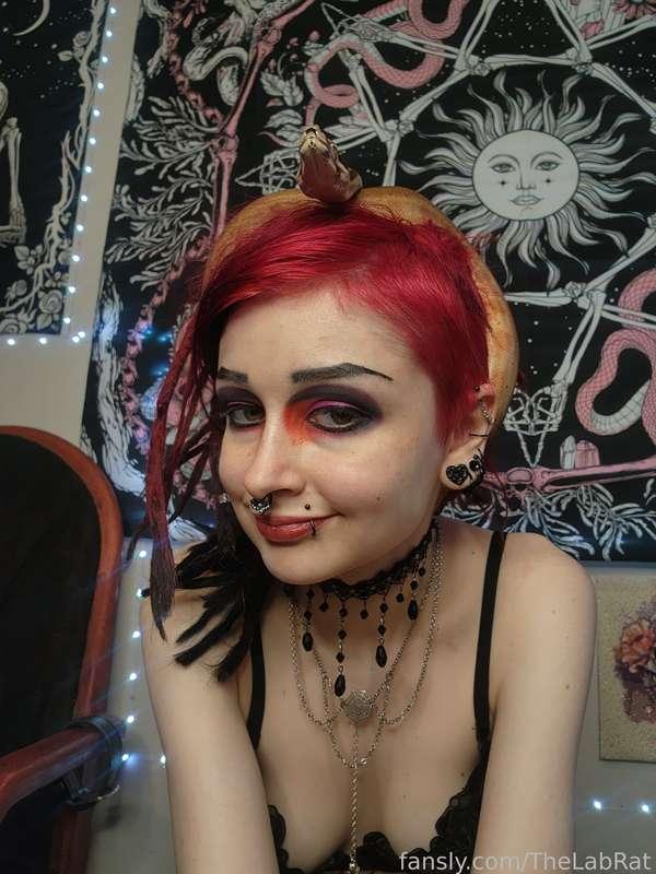 thelabrat image #1