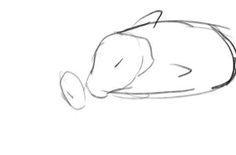 Animation- Internal shot wips