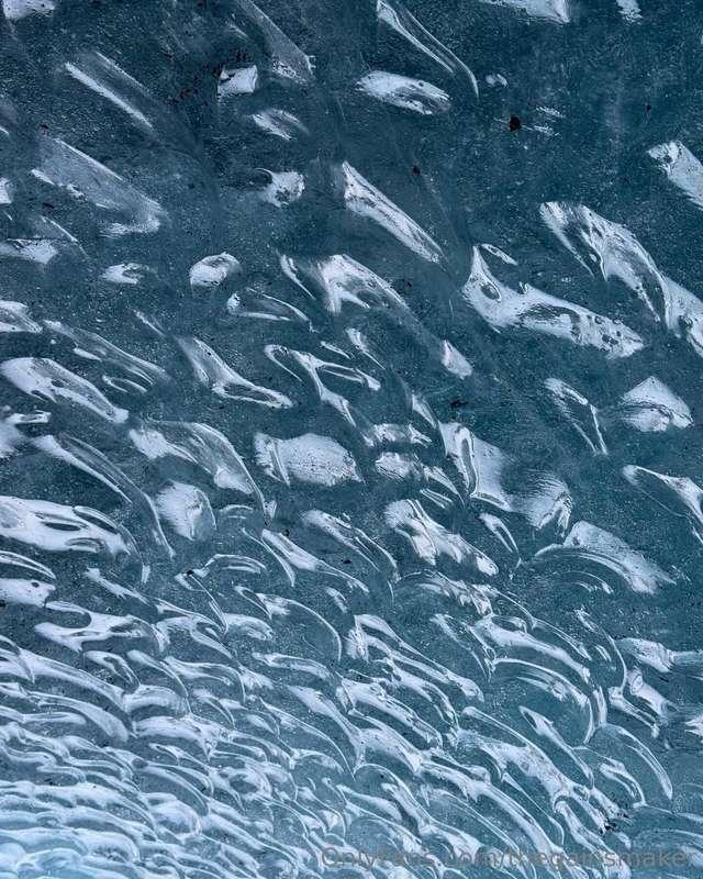 thegainsmaker image #7