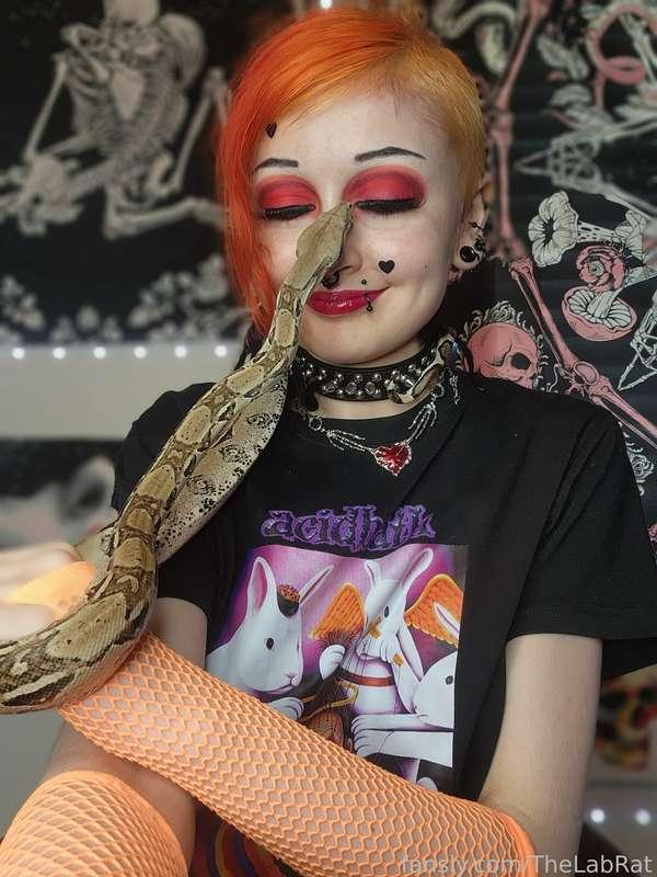 🖤Good morning🖤



#FYP #SFW #NSFW #goth #alt #fishnets #petite #piercings #alternative #snake