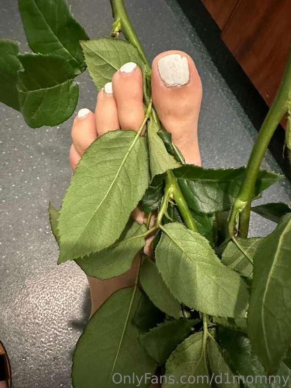 🌹🦶🏻