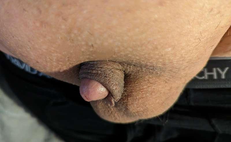 tinycockchub main image
