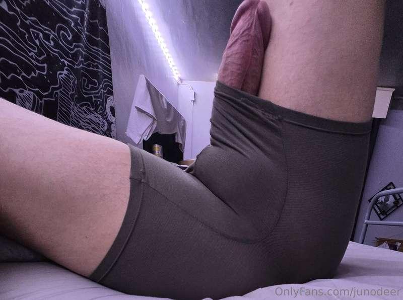 junodeer image #0