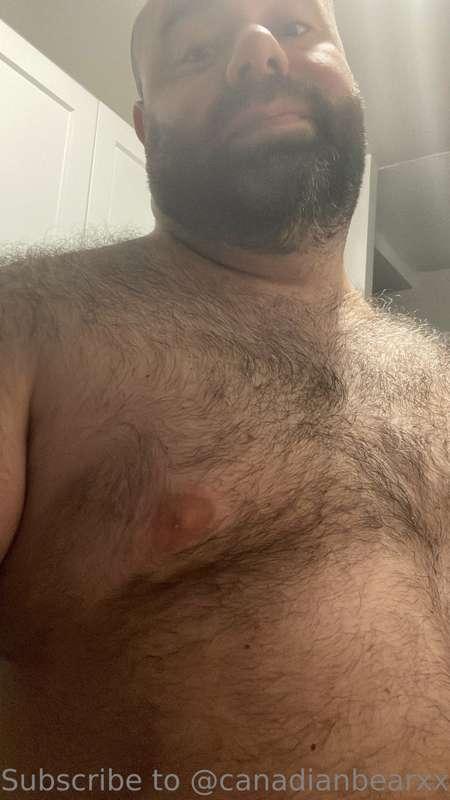 Nudes are on onlyfans.com/canadianbearxxx 50% off 🤑😈