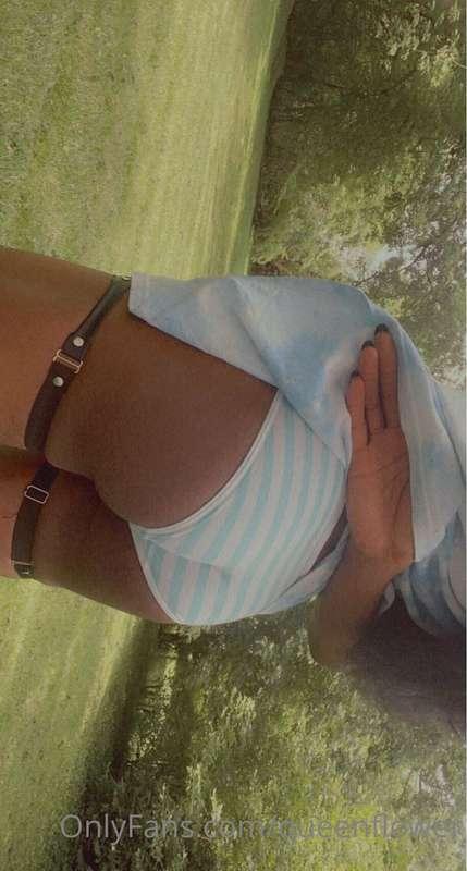 queenflower image #0