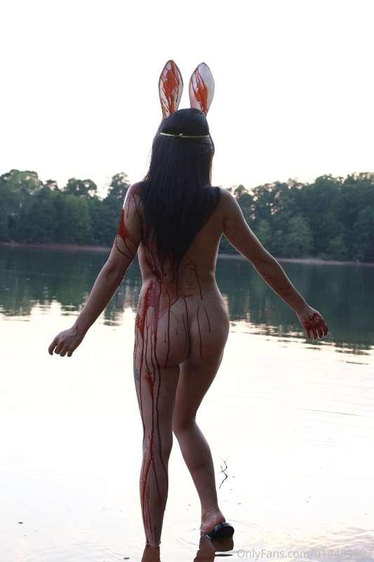Bad bunny