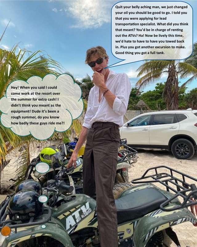 Transportation Specialist