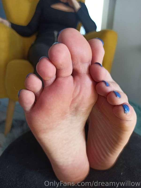 dreamywillow image #11