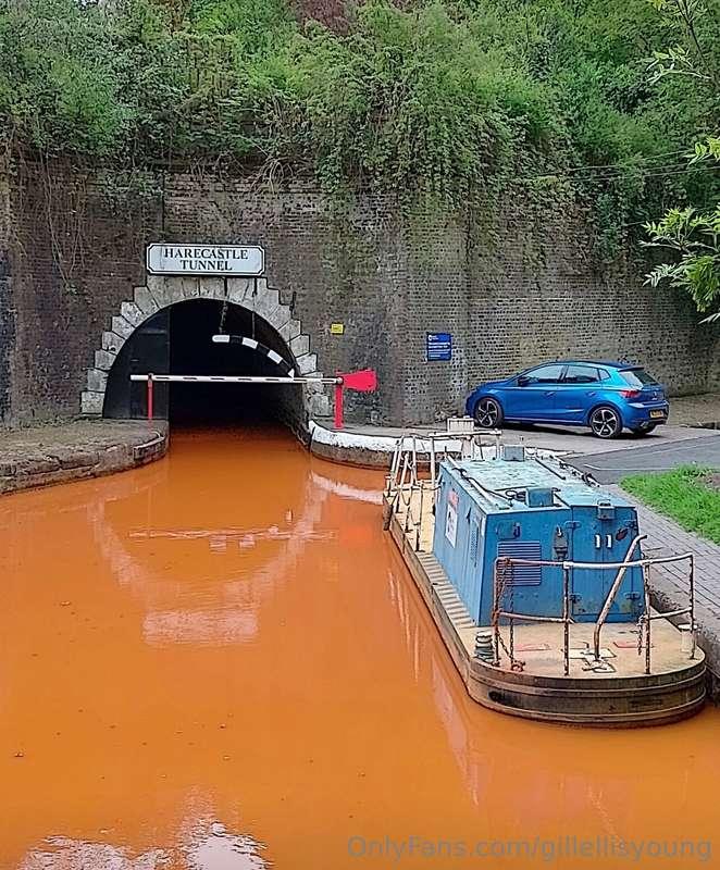 gillellisyoung image #2