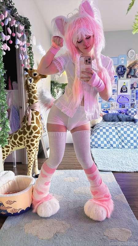 indigowhite image #177