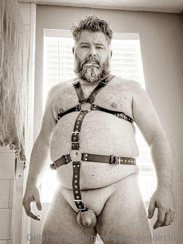 Ok, last couple from this round of harness pics. (Although I..
