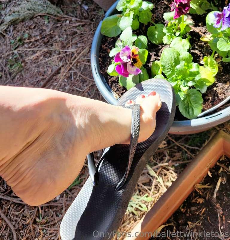 Flip flops in the garden 🩴🌺 who's licking the dirt from betw..