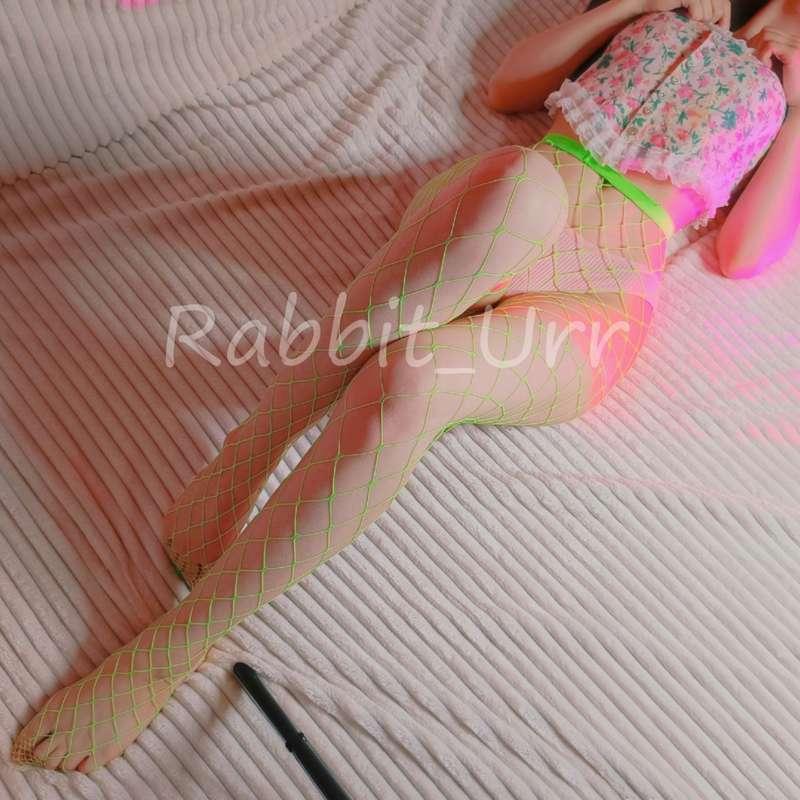 rabbit_urr image #1