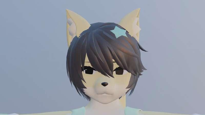 Random Face Animation