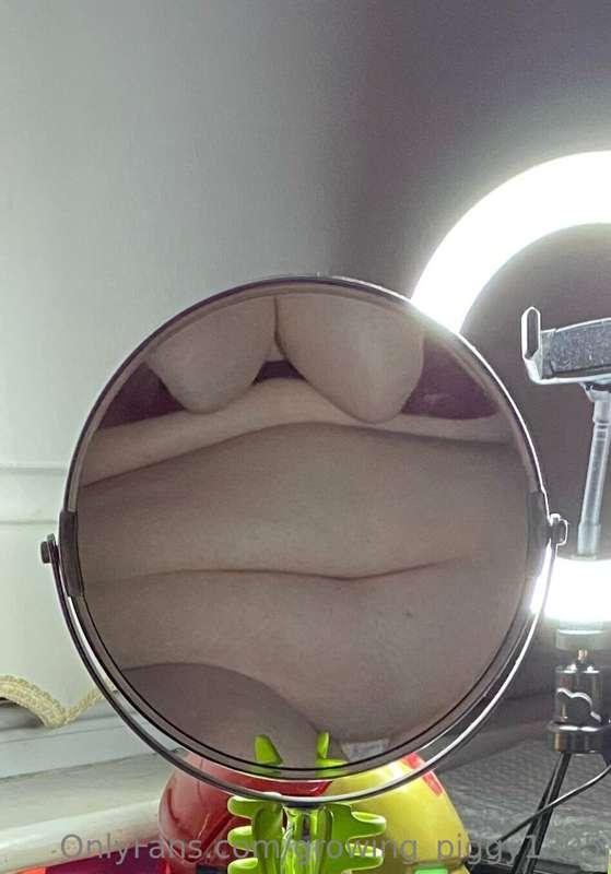 growing_piggy1305 image #2