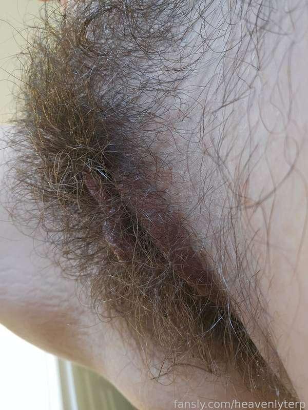 heavenlyterp image #1