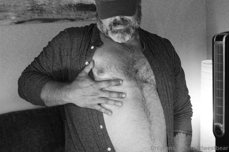 m1dwestbear image #15