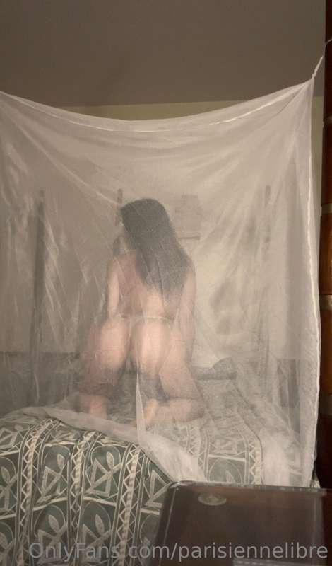 Moustiquaire nude style