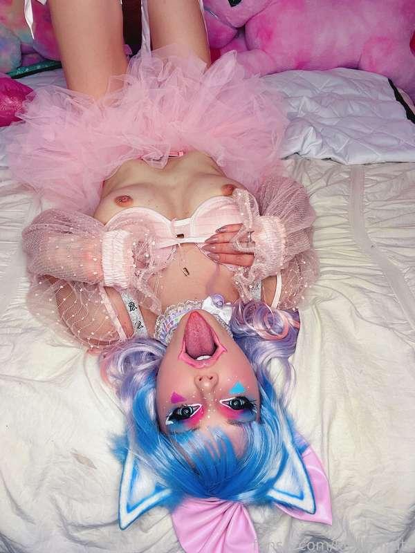 kiddenkatt image #1