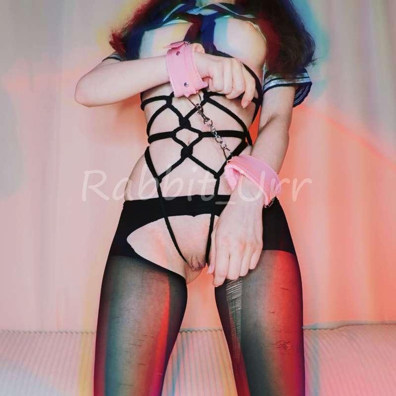 rabbit_urr image #3