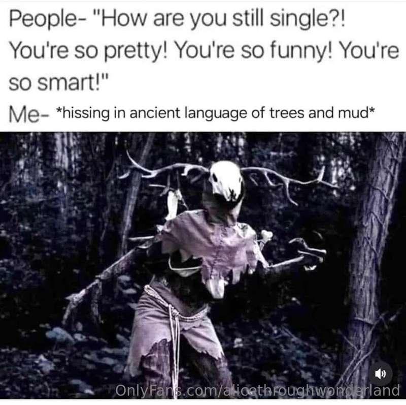 alicethroughwonderland image #2