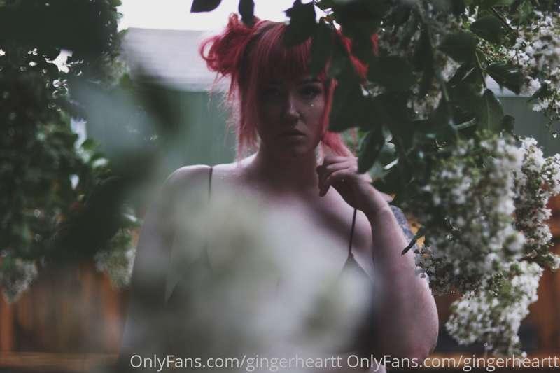 Water your ginger. Keep out of direct sunlight. Handle with ..