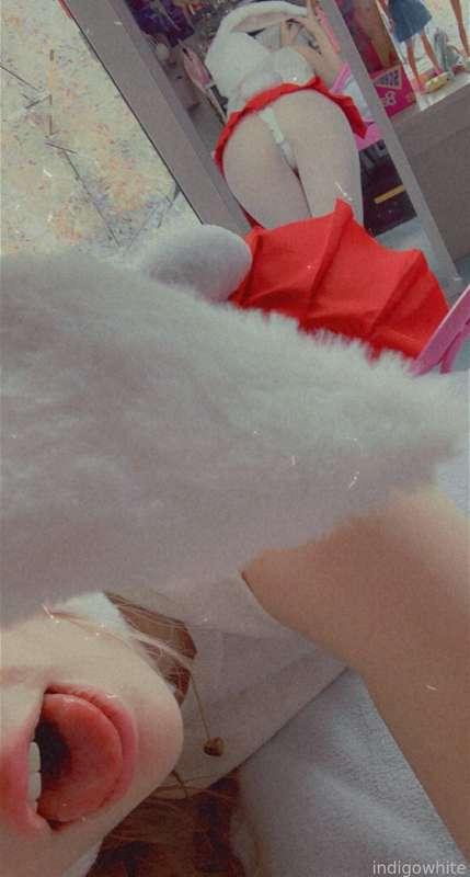 indigowhite image #80