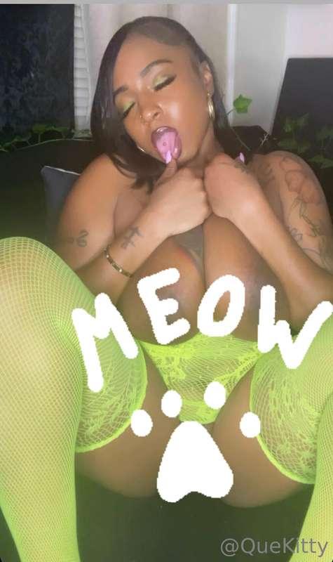 hereqittyqitty main image