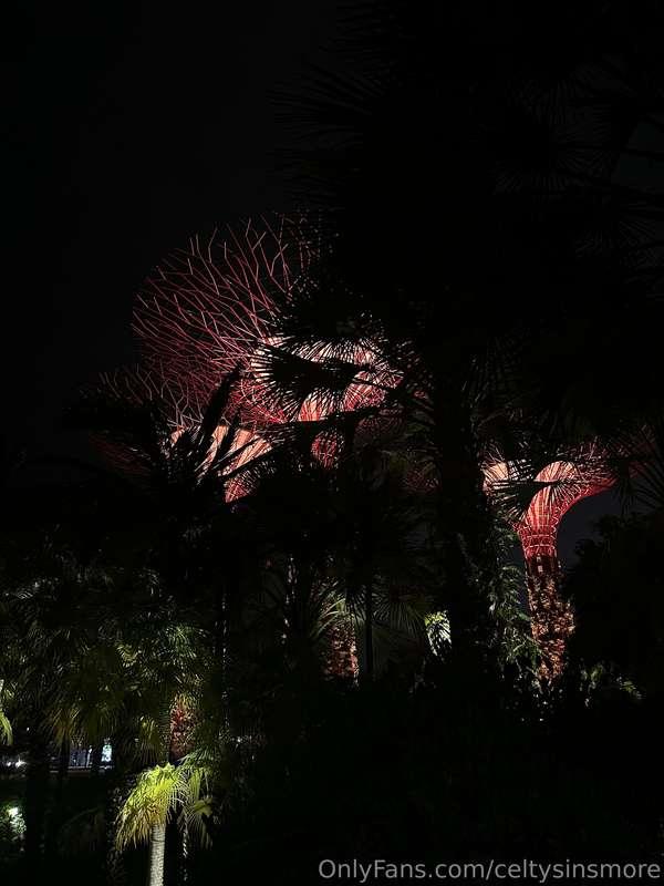 celtysinsmore image #0