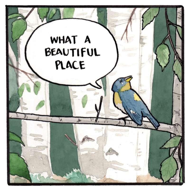 New old comic + quick comic