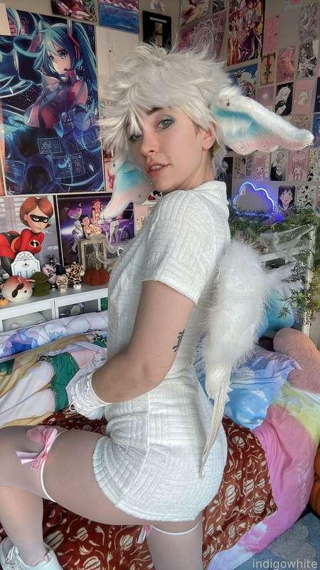indigowhite image #179