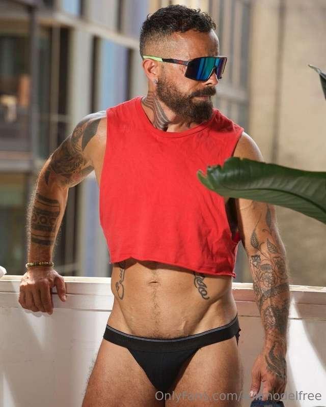 willmodelfree image #0