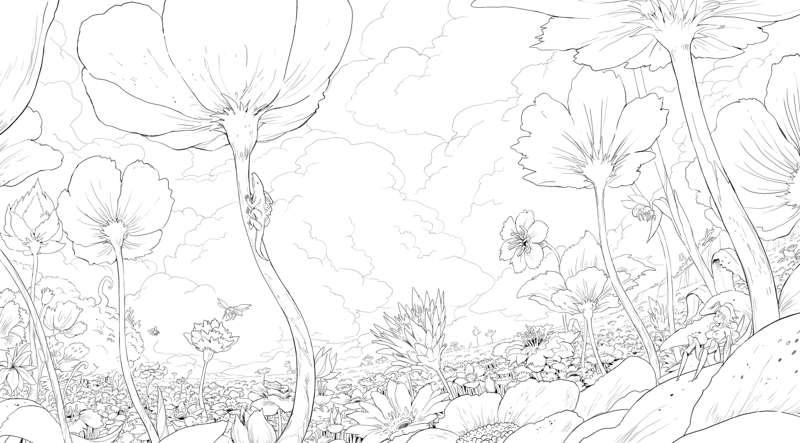 Kryromia fields