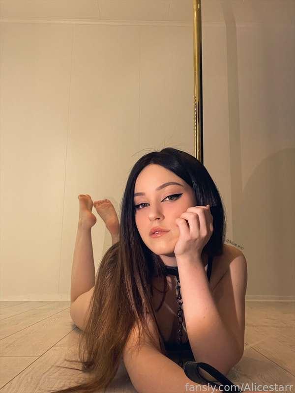 alicestarr image #99