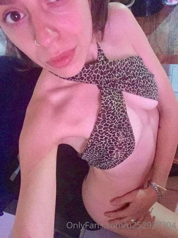 🐯