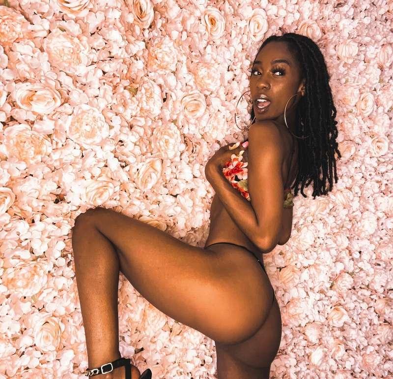 hey favs 🌸🌸🌸🌸