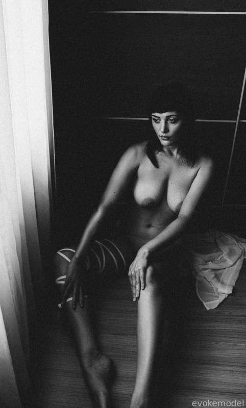 evokemodel image #10