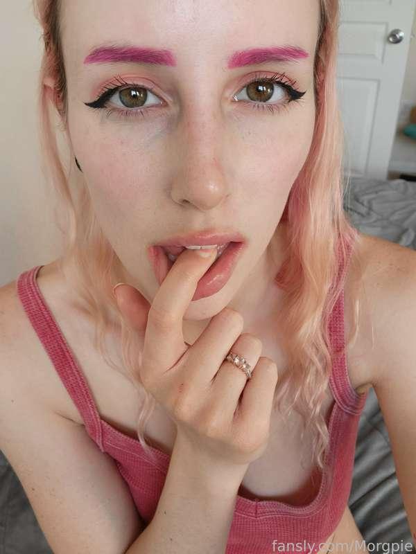 morgpie image #5