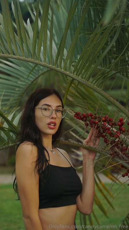 Under the sway of palm trees, journeying through paradise. 🌴..