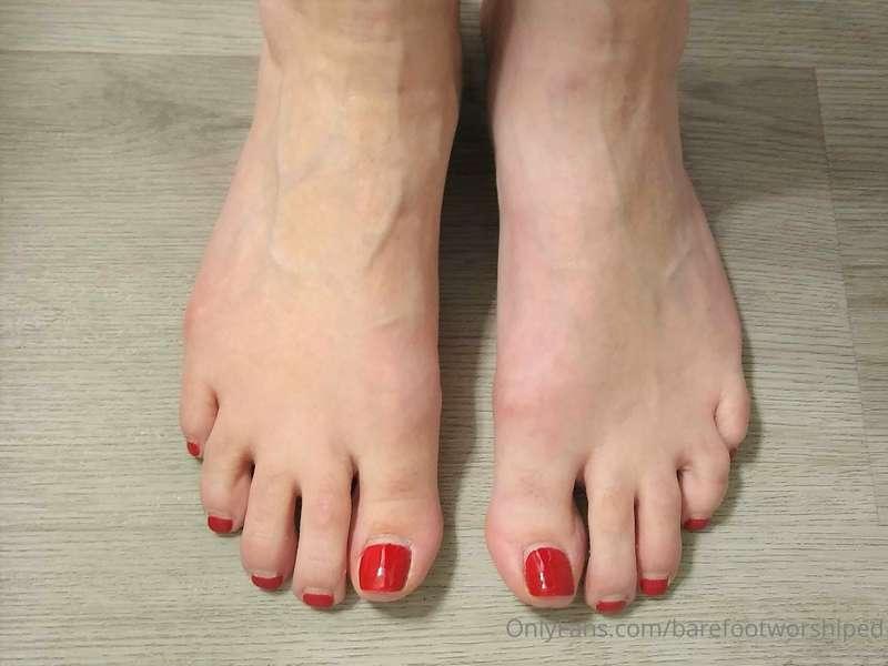 Just a nibble of these pretty toes (Set of 10)