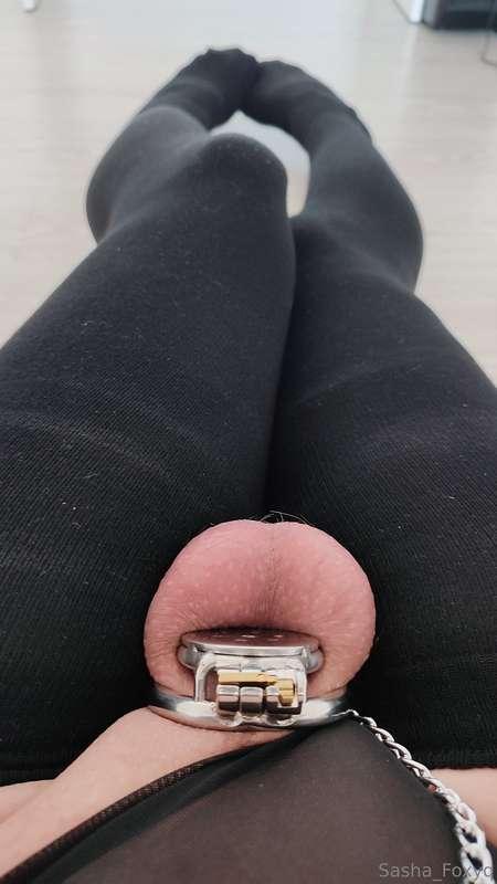 sasha_foxyq image #1
