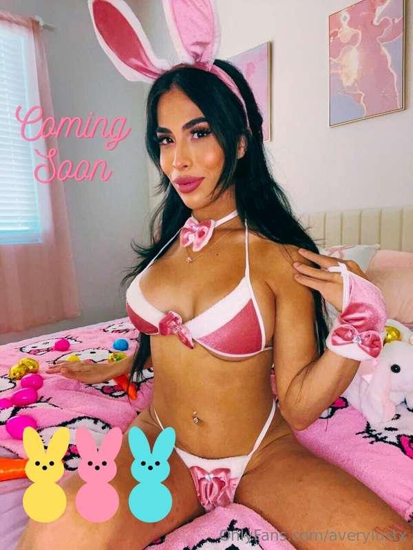 🐰🐰🐰🐰🐰🐰🐰