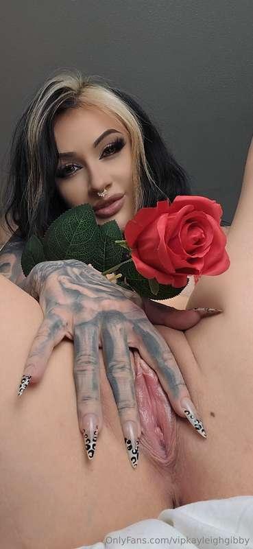 Two pretty flowers 🌹😏