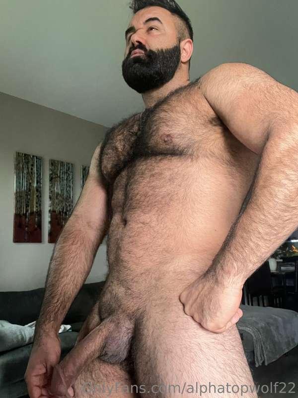 alphatopwolf22 image #0