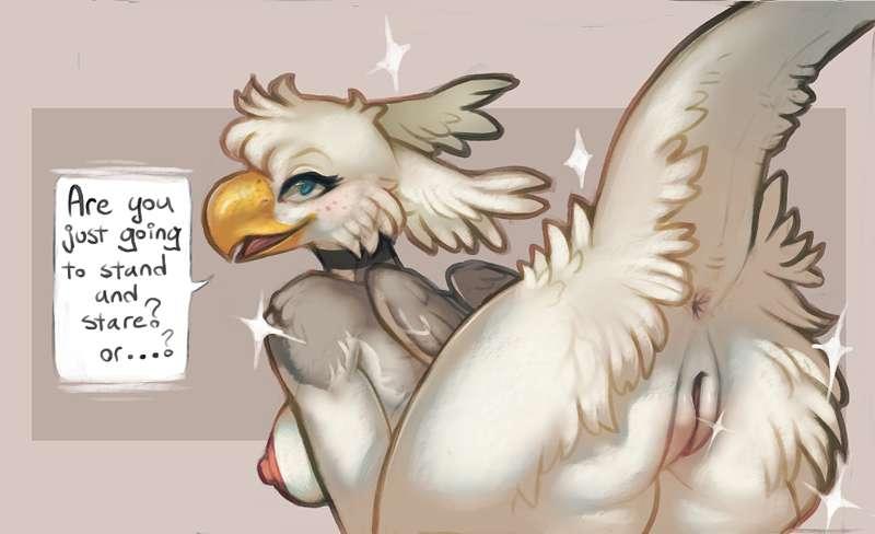 patient bird