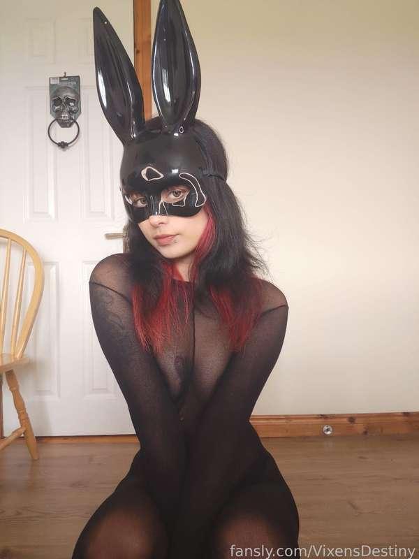 vixensdestiny image #2