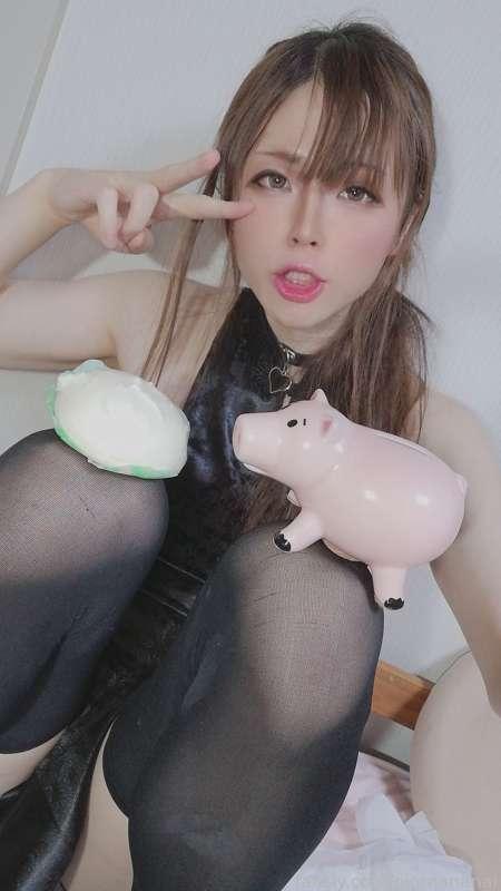 pigmananal image #1